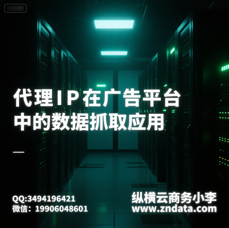 代理IP在广告平台中的数据抓取应用