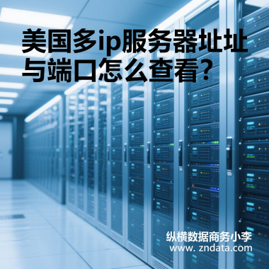 IPַ˿ô鿴?