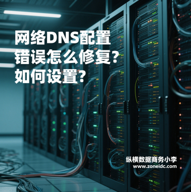 ����DNS���ô�����ô�޸�?�������?