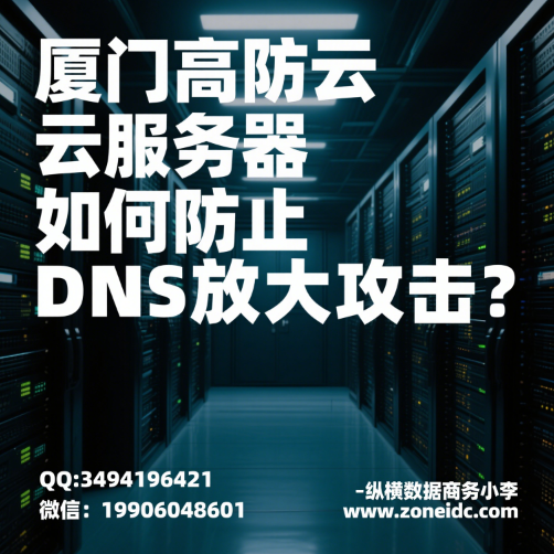 ���Ÿ߷��Ʒ�������η�ֹDNS�Ŵ󹥻�?