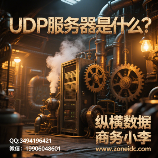 UDP��������ʲô?