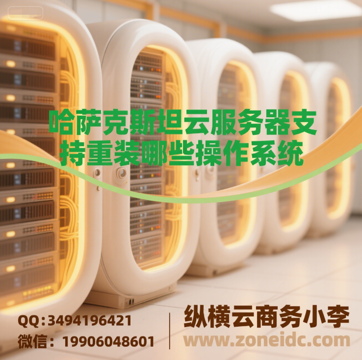 ������˹̹�Ʒ�����֧����װ��Щ����ϵͳ?